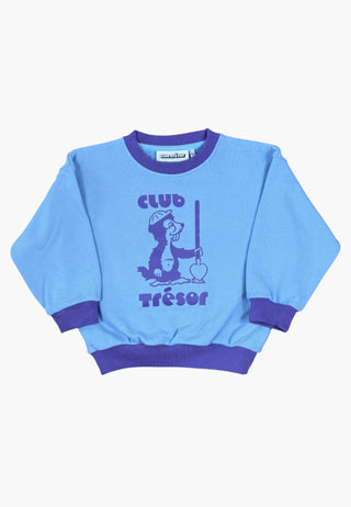 Sweatshirt Bobby Blue & Purple